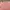 Japanese brand Vintage Indie Cardigan Wanita pink photo 5