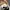 Adidas Gorpcore Casual Sneakers Wanita white black photo 4