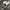 Adidas Gorpcore Casual Sneakers Wanita white black photo 2