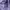 Gorpcore Track jacket Pria purple photo 3