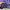 Gorpcore Track jacket Pria purple photo 4