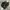Nike Gorpcore Indie Sneakers Pria black photo 2