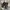 Nike Gorpcore Indie Sneakers Pria black photo 1
