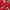 Sun Surf Vintage Sportswear Casual shirt Pria burgundy red photo 7