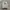 Minimalist Hoody Pria gray photo 1