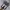 Nike Streetwear Sneakers Pria multicolor photo 5