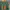 Nike Casual Jersey Pria green photo 2