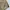 WHO.A.U Casual Short Pria tan photo 4