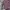 Uniqlo Streetwear Casual Casual shirt Pria multicolor photo 3