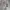 Marmot Sportswear Windbreaker Pria gray photo 5