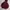 Vintage Y2K Trench coat Pria burgundy photo 2