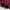 Vintage Y2K Trench coat Pria burgundy photo 6