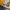 Montbell Gorpcore Sportswear Windbreaker Pria yellow photo 7