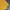 Montbell Gorpcore Sportswear Windbreaker Pria yellow photo 4
