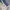 Helly Hansen Sportswear Windbreaker Pria tan photo 6