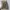 Playboy Casual Track jacket Wanita khaki photo 5