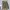 Playboy Casual Track jacket Wanita khaki photo 1