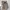 Spao Casual Puffer jacket Pria cream photo 3