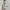Spao Casual Puffer jacket Pria cream photo 2