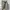 Spao Casual Puffer jacket Pria cream photo 5