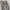 Spao Casual Puffer jacket Pria cream photo 6