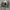 Spao Casual Puffer jacket Pria cream photo 8