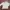 Y2K Casual Sweatshirt Wanita cream photo 2