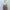 Casual Casual dress Wanita gold gray photo 6