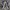 VANS Y2K Casual Sneakers Pria white navy photo 2