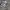 New Balance Skater Casual Sneakers Pria white gray photo 1