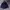 Polo Ralph Lauren Luxury Formal shirt Pria navy photo 2