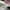 Nike Casual Sneakers Pria white cream photo 6