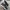 Nike Sportswear Sneakers Pria white black photo 6
