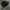 Nike Gorpcore Emo Sneakers Pria black photo 3