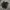 Nike Gorpcore Emo Sneakers Pria black photo 1