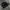 Nike Gorpcore Indie Sneakers Pria black photo 3