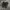 Nike Gorpcore Indie Sneakers Pria black photo 1