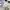 Polo Ralph Lauren Streetwear Y2K Sweatshirt Pria gray photo 2