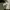 Japanese brand Vintage Y2K Casual pants Pria green photo 6