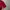 Nike Sportswear Casual T-shirt Pria red photo 4