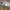 Nike Casual Sneakers Pria White