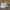 Nike Casual Sneakers Pria white photo 3