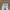 Nike Casual Sneakers Pria white photo 2
