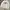 MLB Vintage Y2K Sweatshirt Pria gray photo 3