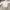 MLB Vintage Y2K Sweatshirt Pria gray photo 2