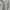 Timberland Casual Casual shirt Pria gray photo 4