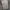 Louis Vuitton Luxury Casual shirt Pria black photo 2
