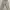 ZARA Casual High waisted jeans Wanita gray photo 1