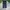 Dickies Streetwear Y2K Casual pants Pria black photo 2