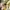 Polo Ralph Lauren Casual Casual shirt Pria yellow photo 5